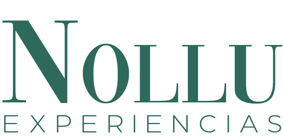 Nollu Experiências