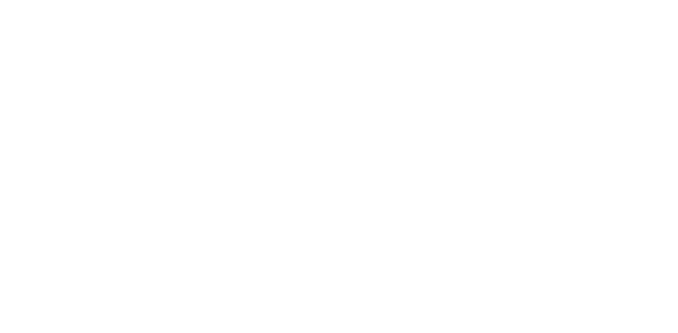 Nollu Experiências